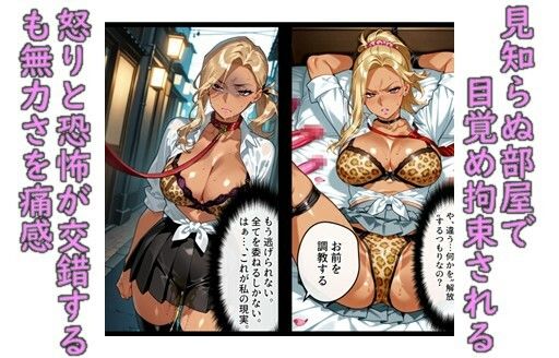 堕ち妻飼育  肉便器堕ちして飼育されていくギャル変装社長夫人 画像3